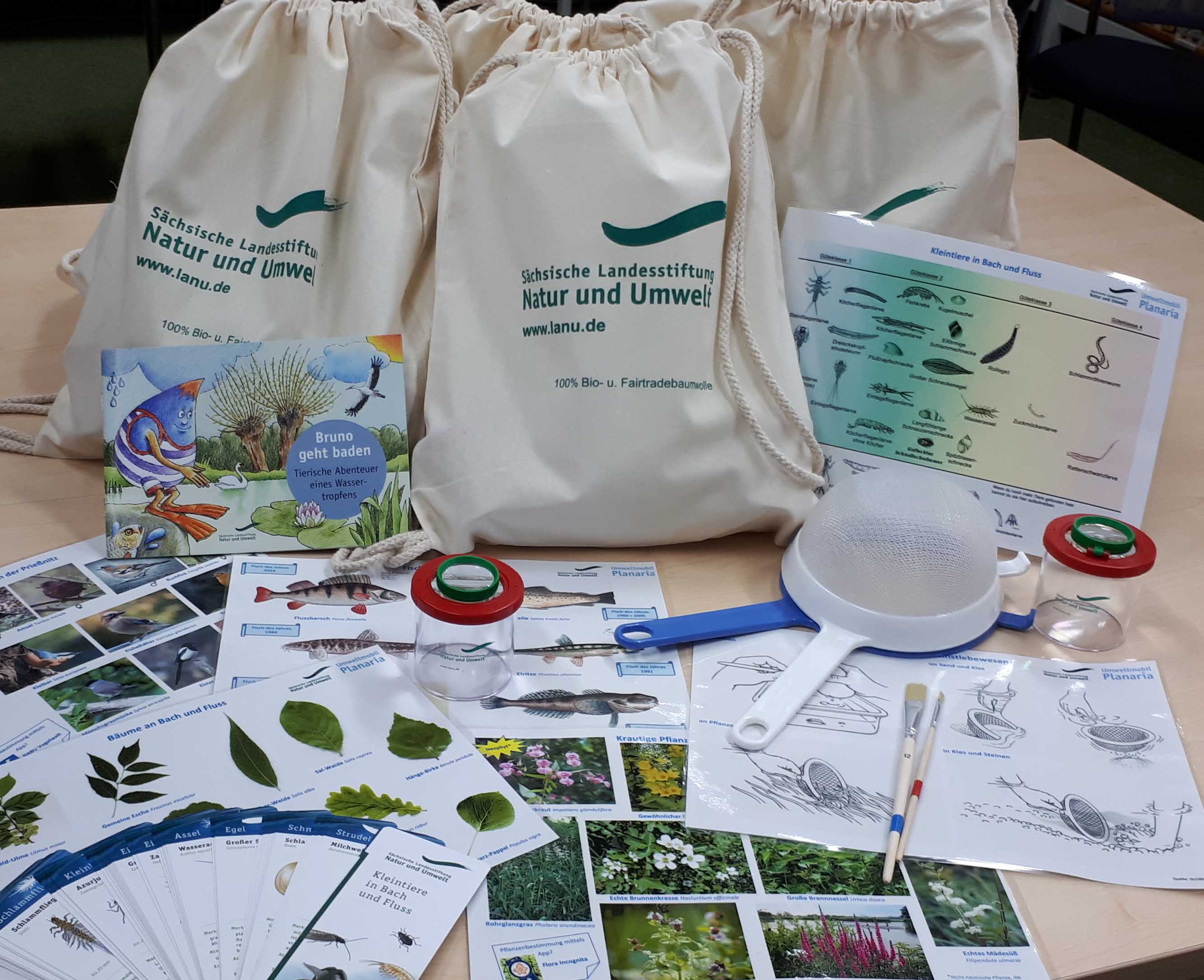 KI generiert: Das Bild zeigt eine Sammlung von Natur- und Umweltbildungsressourcen, inklusive Informationsmaterial, Lupengläser und Bestimmungsblättern, die von der Sächsischen Landesstiftung Natur und Umwelt bereitgestellt werden. Diese Materialien sind in Stoffbeuteln verpackt und scheinen für Bildungszwecke verwendet zu werden.